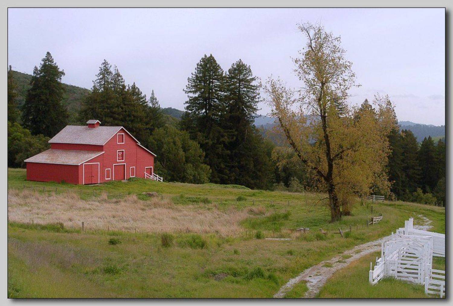 Осень не за горами. Автор: Alexandre Michourovskii , Alexandre Michourovskii