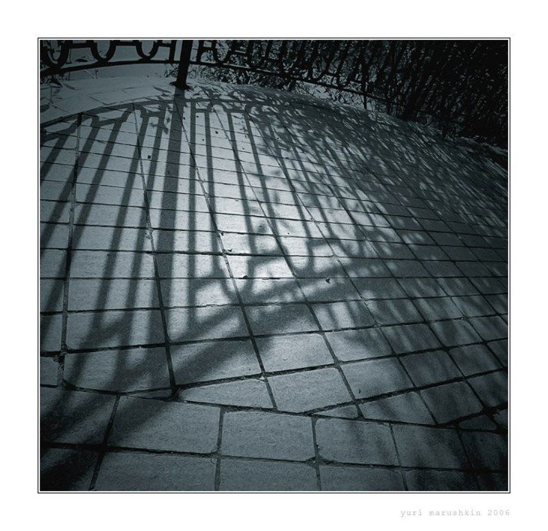 без названияphoto preview