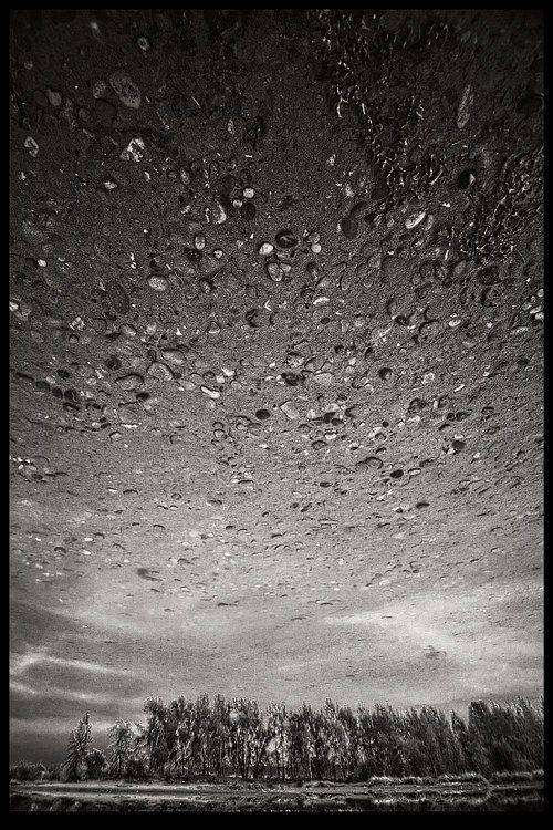 иное, Роман Быков