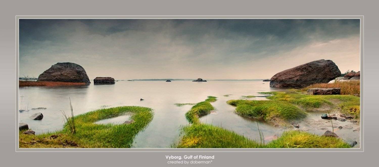 , Денис Богомолов