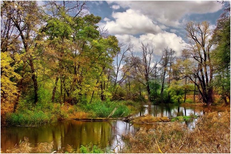 пейзаж, природа, река Осень на двореphoto preview