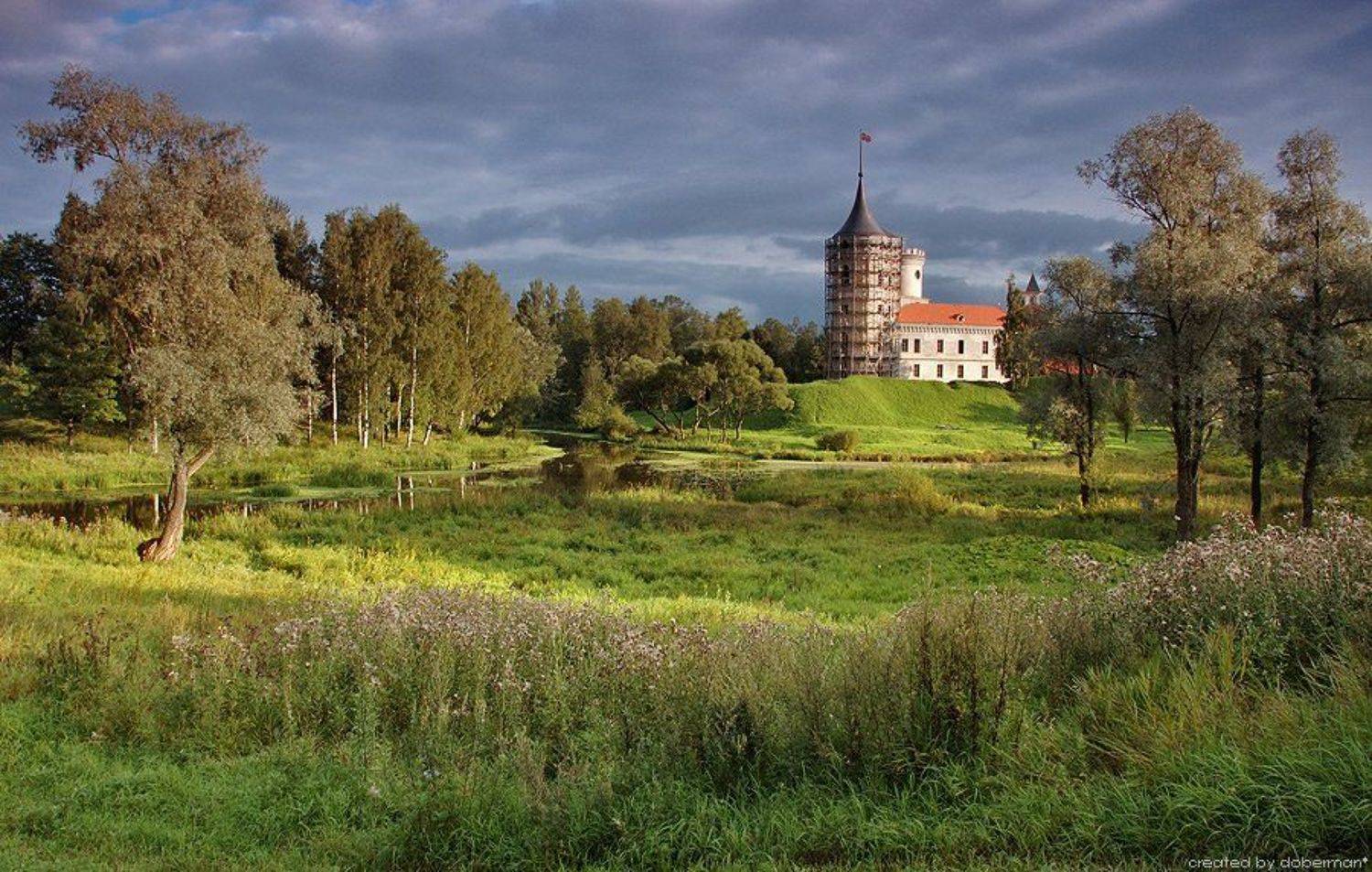 , Денис Богомолов