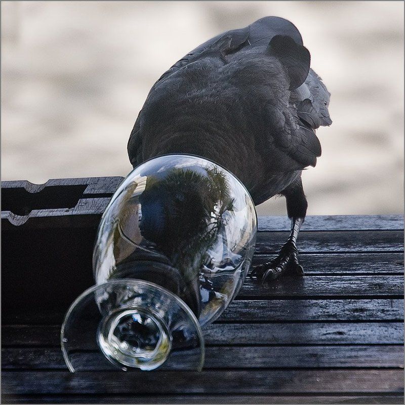 За Ваше здоровьеphoto preview