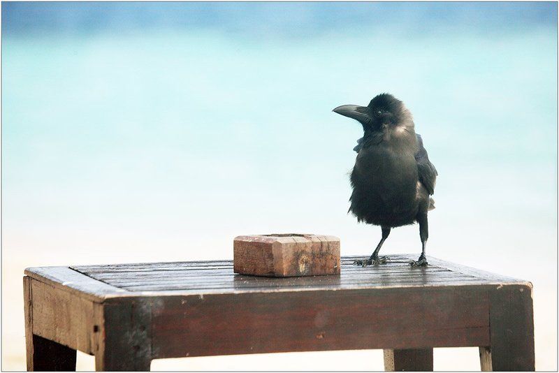 Индивидуальностьphoto preview