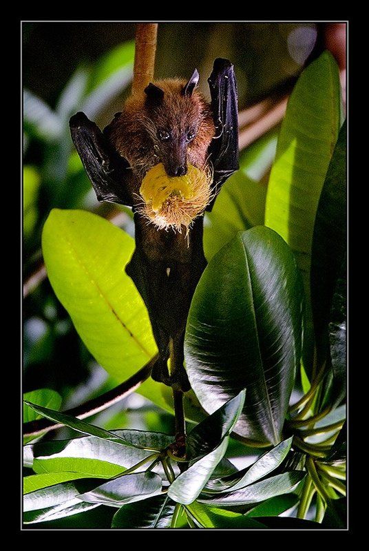 Артистphoto preview