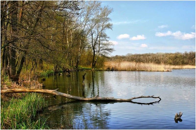 пейзаж, природа, река Погожий деньphoto preview