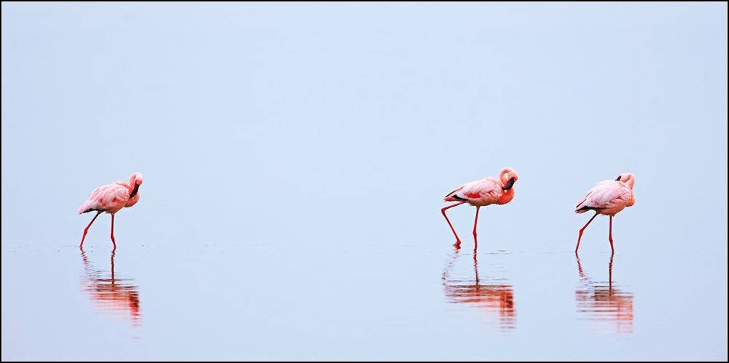 , Марина Кочетова