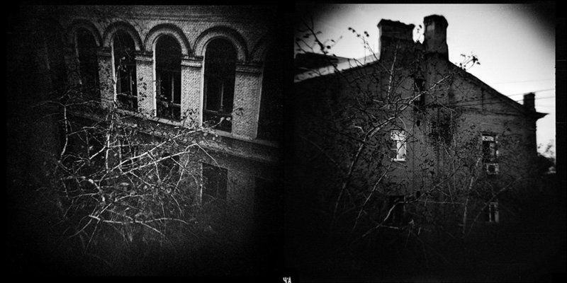 город, крыши, деревья, окна *photo preview