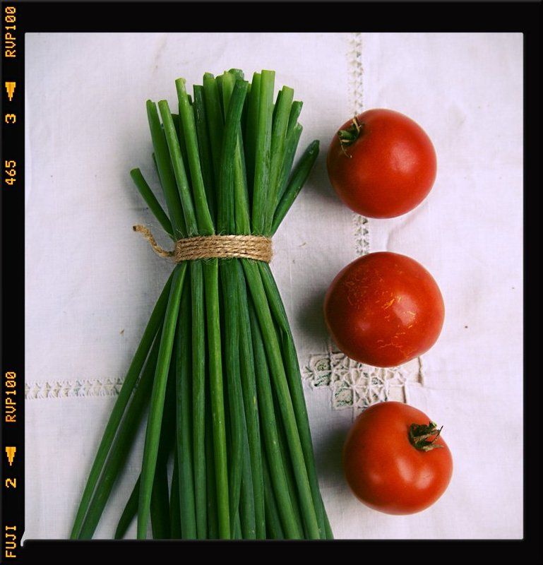 Красно-зеленый этюдphoto preview