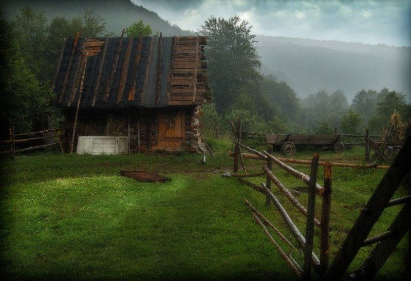 После дождяphoto preview