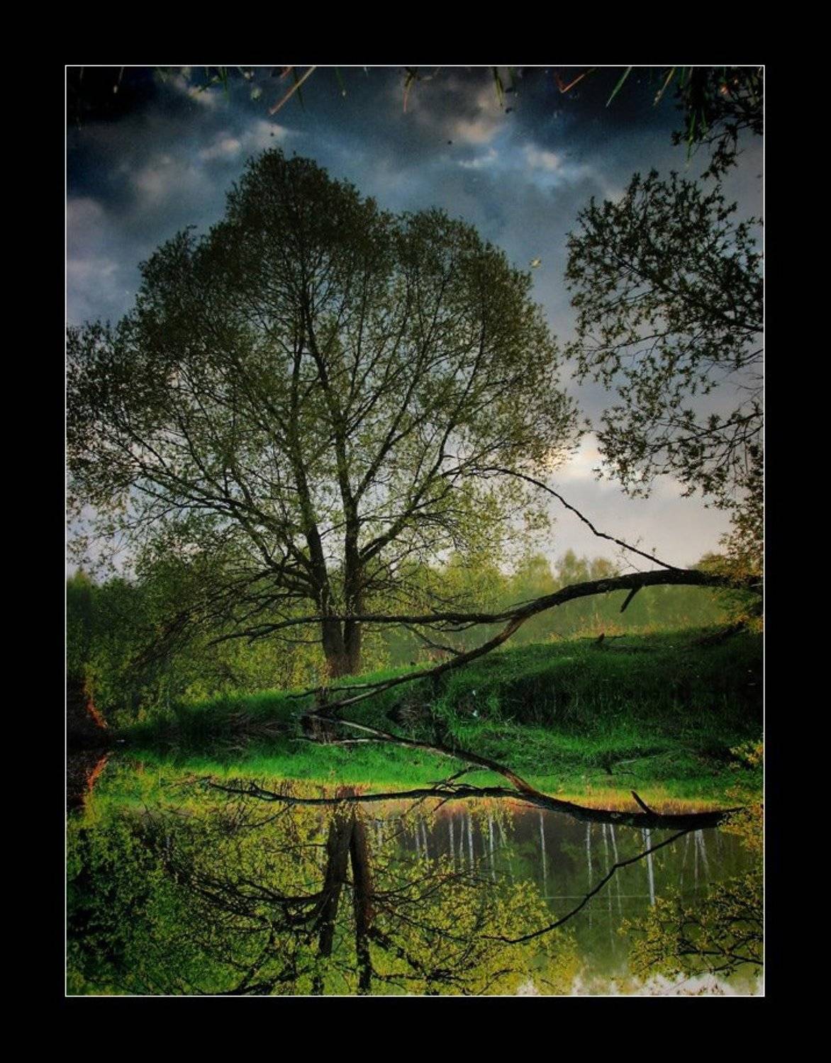 , Лунный Ежик