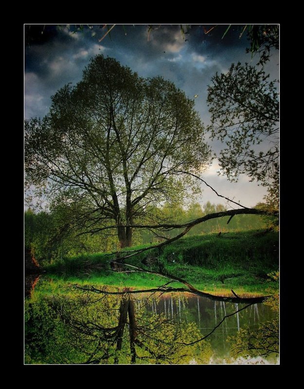 Отражение осениphoto preview