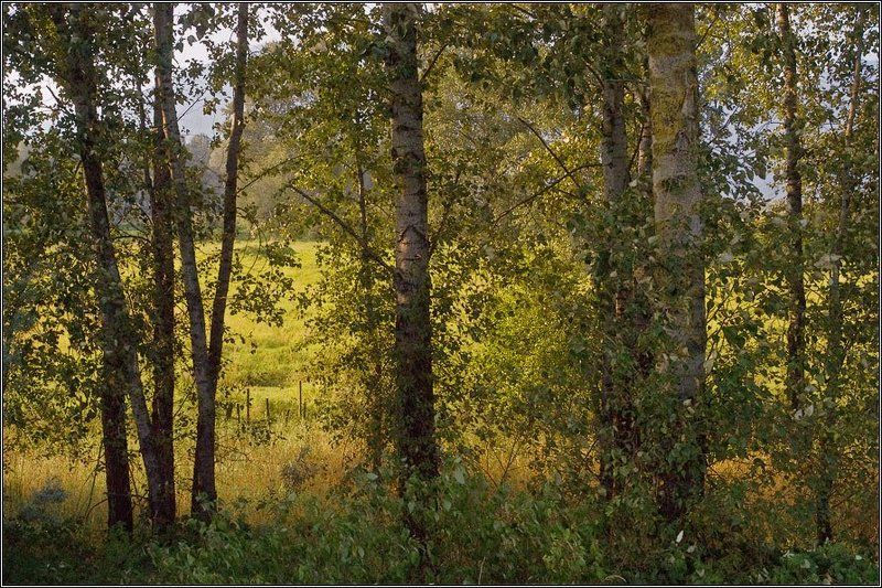 Это было недавноphoto preview