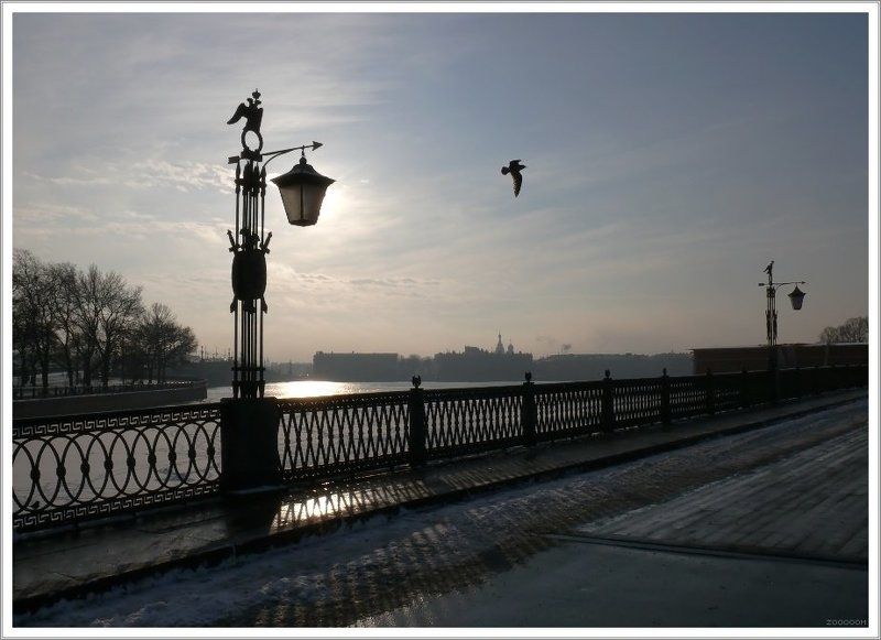 петербург,фонарь Зимний полденьphoto preview