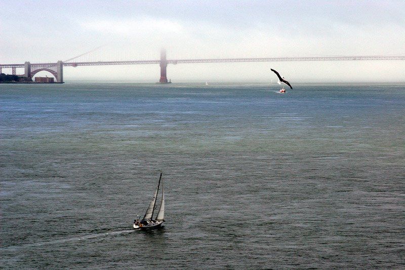 San Franciscophoto preview