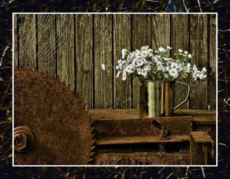 победа в борьбе с превосходящими силами.........photo preview