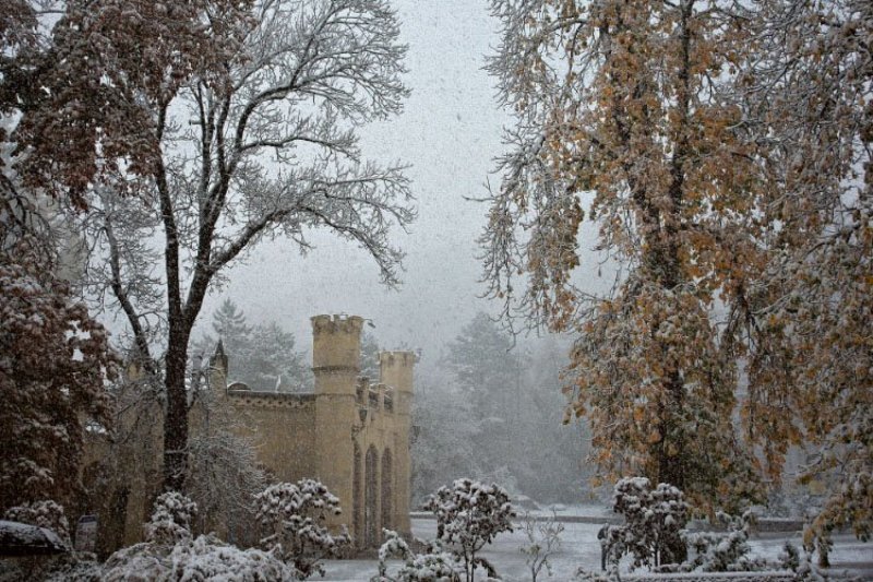 природа, кисловодск, осень, сказка Заснеженная золотая осеньphoto preview