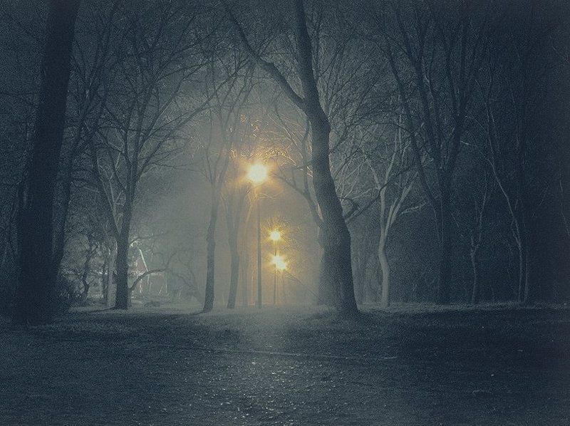 ночь , туман Ночьphoto preview