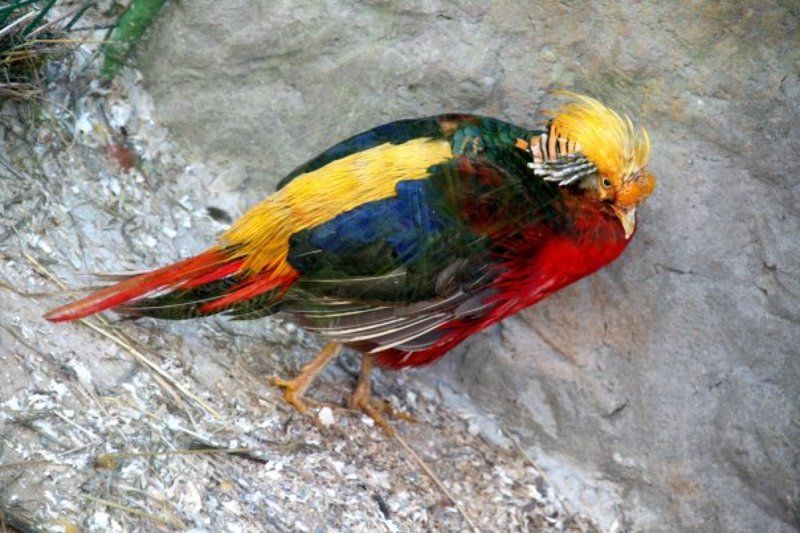 осеннее настроениеphoto preview