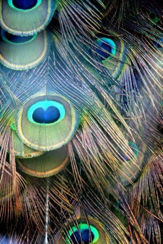 переливыphoto preview