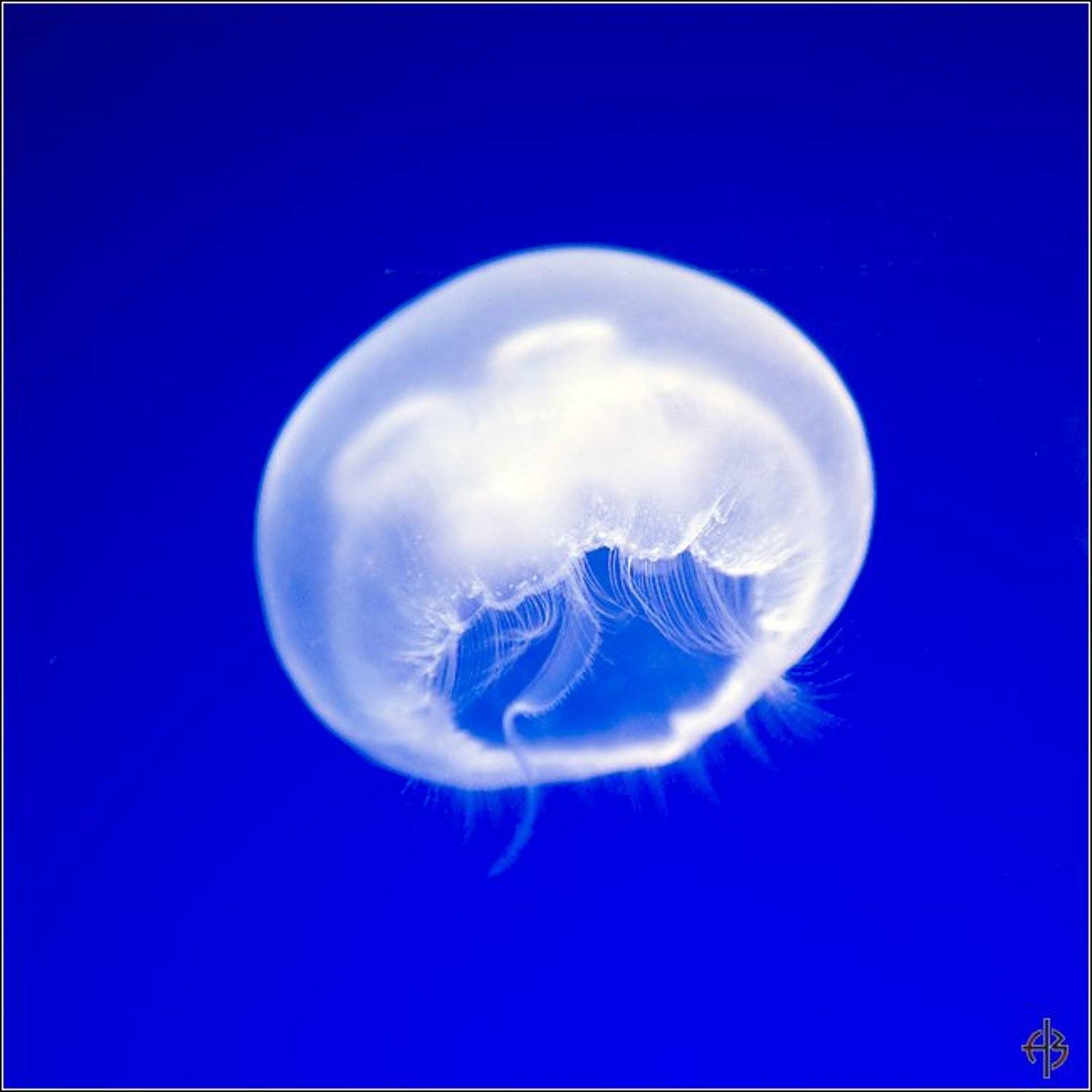 Автор: Алексей Войницкий , Алексей Войницкий