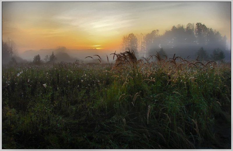 и было туманно ...photo preview