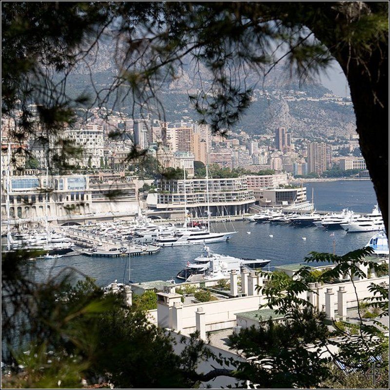 монако Монако. Серия квадрат.photo preview