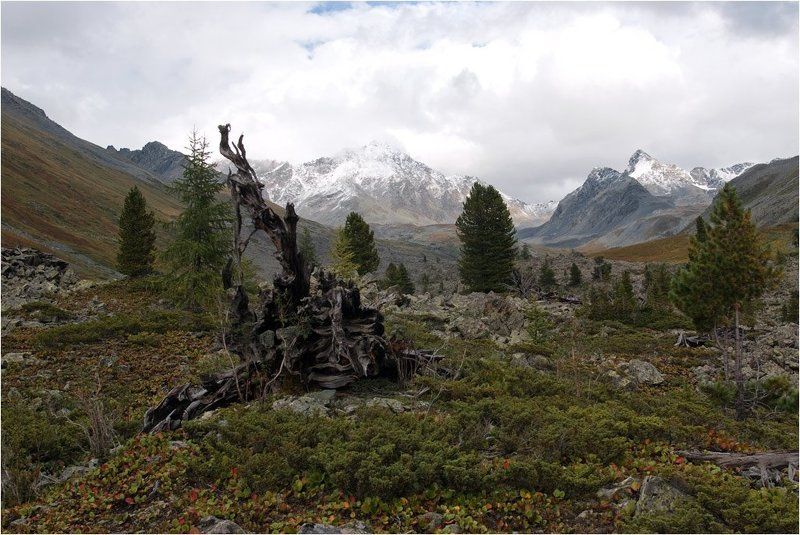 алтай, иолдо, перевал 19photo preview