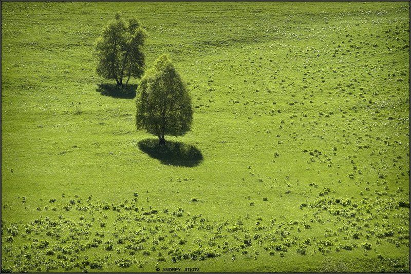 кавказ, пейзаж * * * фото превью