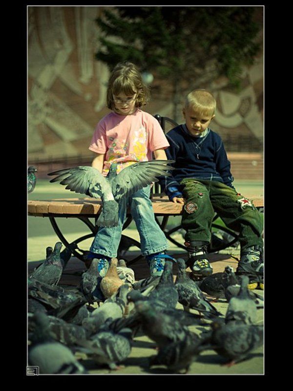 голуби, дети О голубях и детях...photo preview