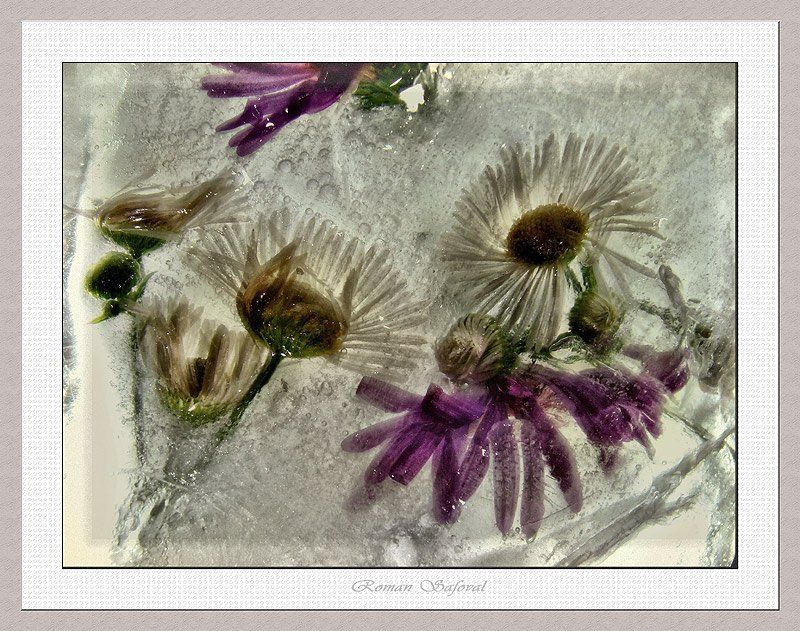 Даже холод приятен и свеж....photo preview