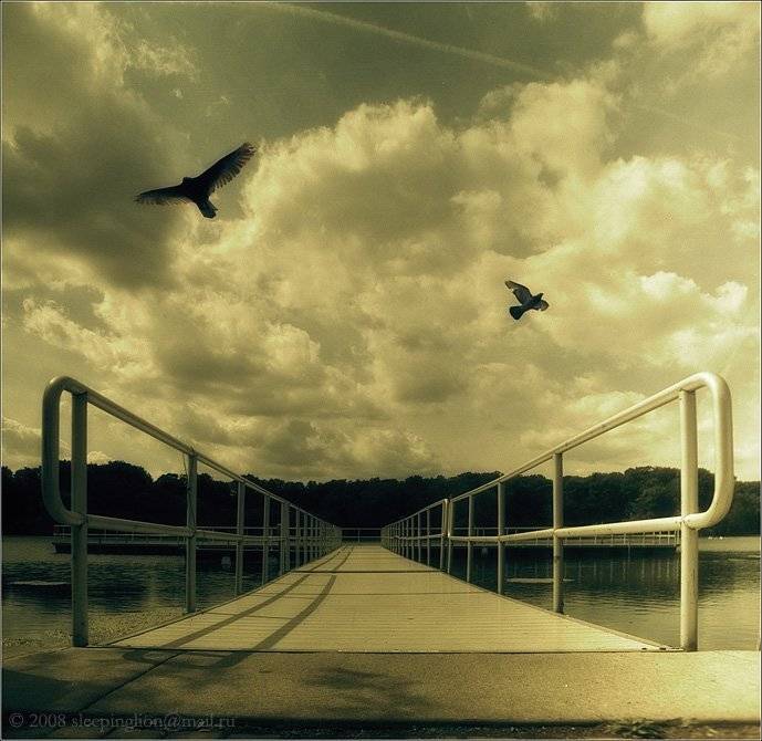 пейзаж, пленка, 120 film, средний формат, medium format, 6x6, киев-60, pilgrim, Pilgrim