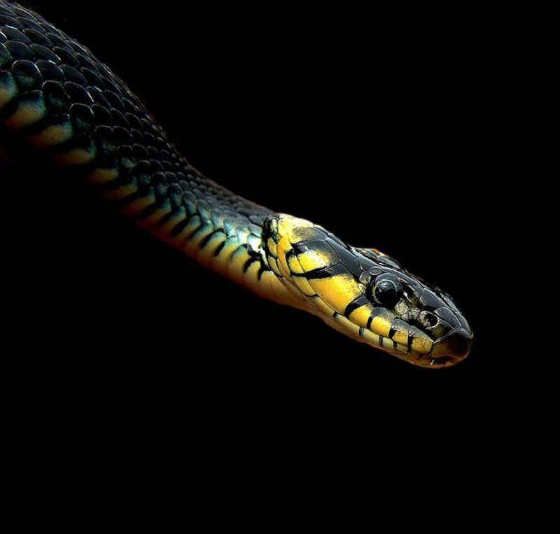 просто ужphoto preview