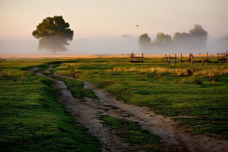 Украина моя, Украина...photo preview