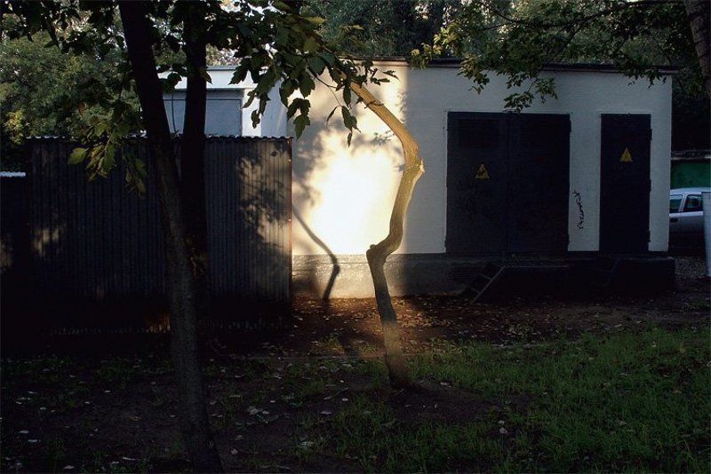 2008, цифра, цвет, город, дерево, тень, листва, city, tree, shadow без названияphoto preview