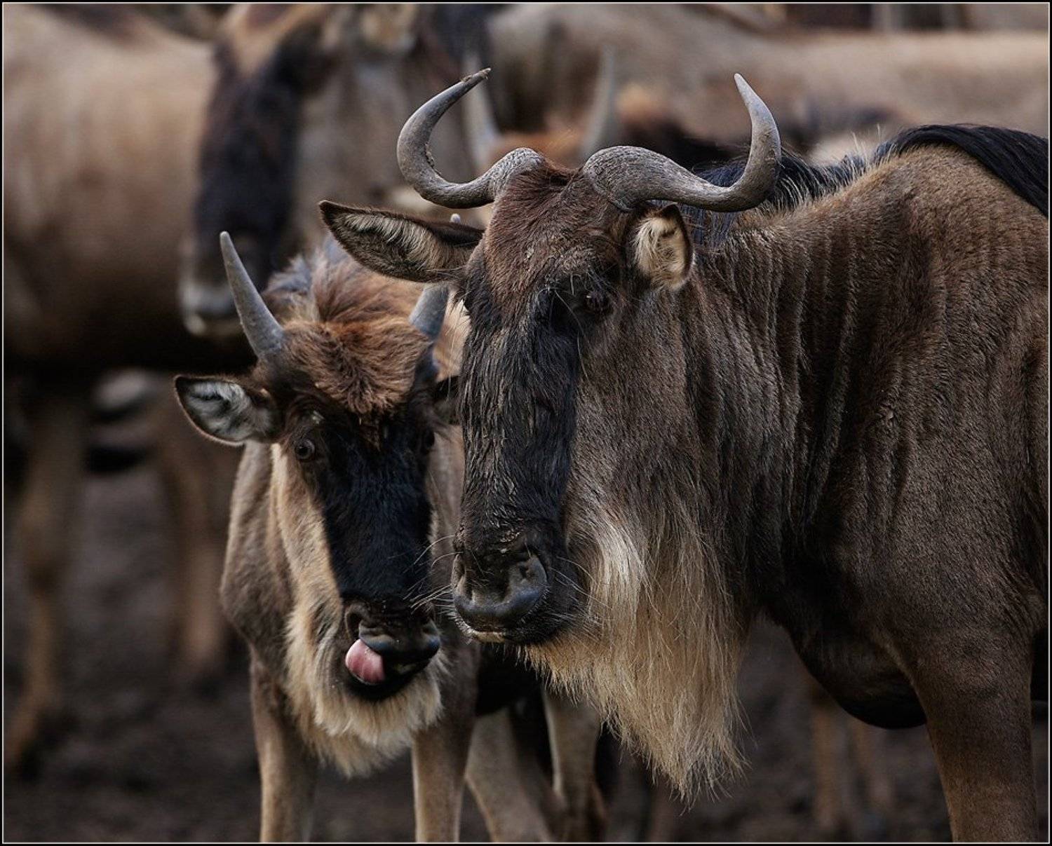 , Марина Кочетова