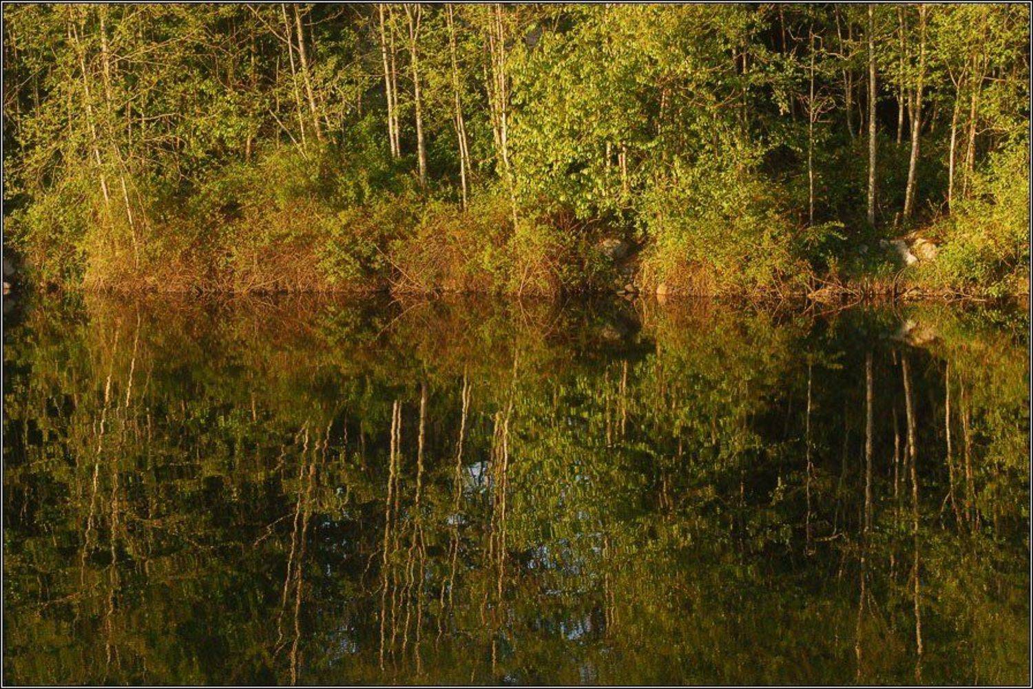 , Alexandre Michourovskii