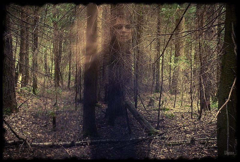 ulysse, mnogolika, witch, ведьма \