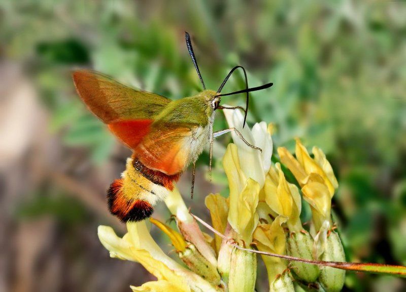 Заправка на летуphoto preview