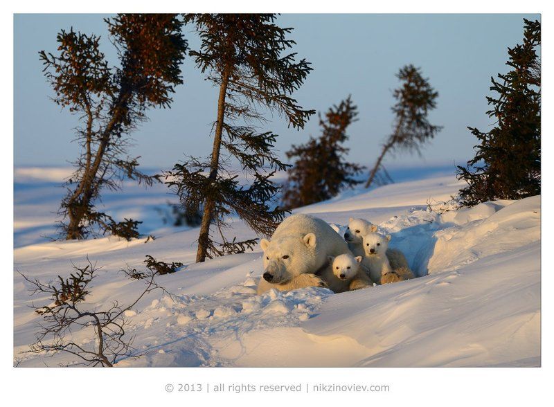 Проводы дняphoto preview