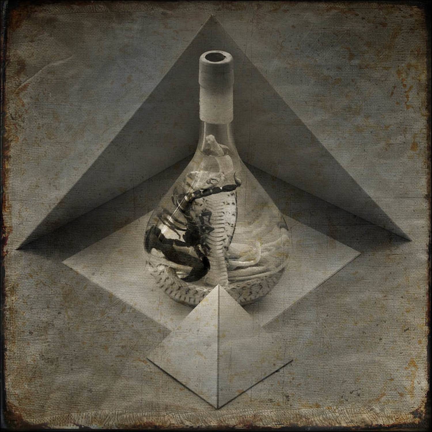 Знак "Скорпион". Автор: Vladimir Markov , Vladimir Markov