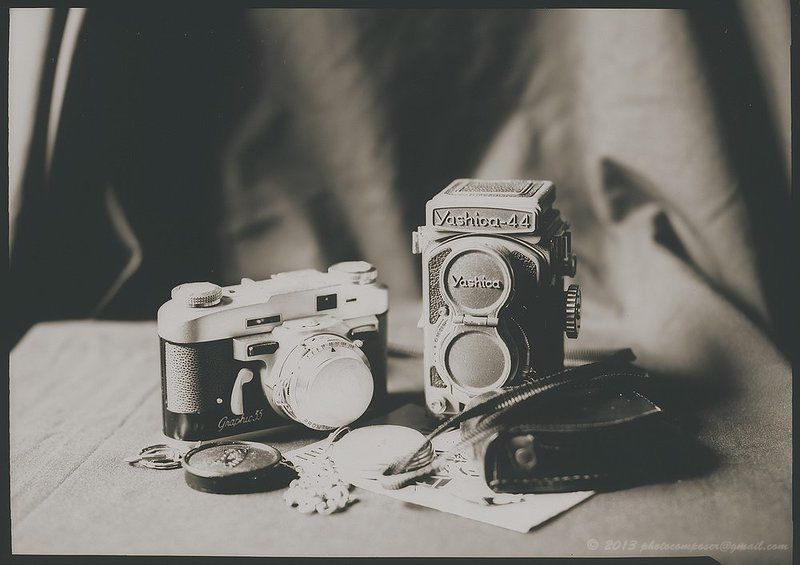 I like them both...photo preview