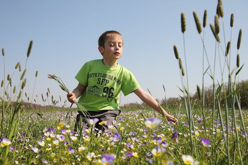 Фиалкины сныphoto preview