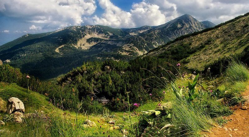 гора Пирин (Pirin mountain)photo preview