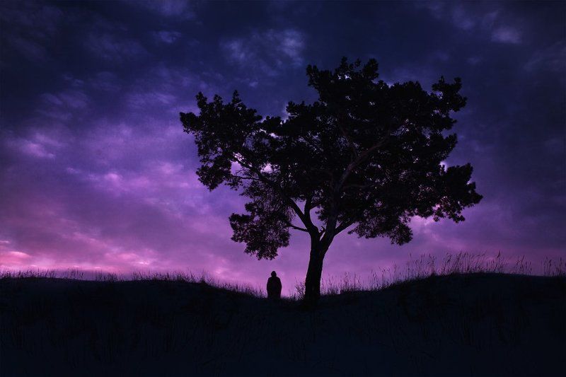 Рассветphoto preview