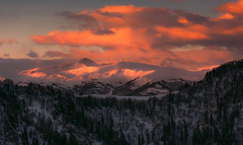 РАССВЕТНЫЕ БАМБАКИphoto preview