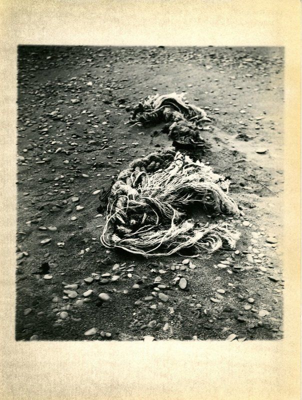 Морской #1photo preview