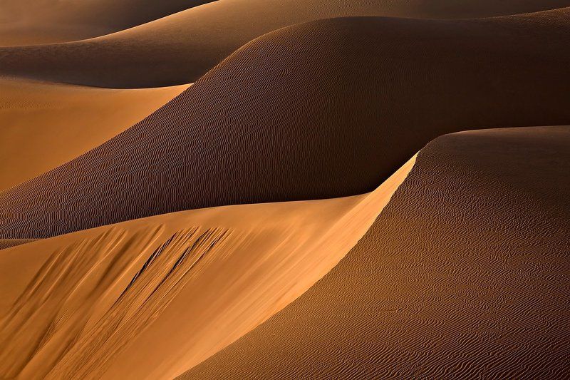 Танец светаphoto preview