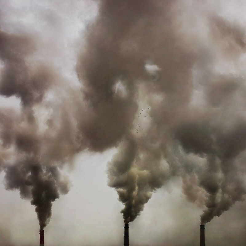 Third breathphoto preview