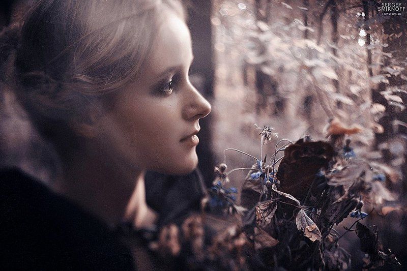 woodlandphoto preview